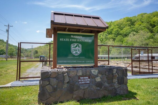 马里恩鱼类孵化场欢迎标志