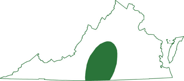 鼹鼠蝾螈生活在弗吉尼亚州中部地区的山麓地带