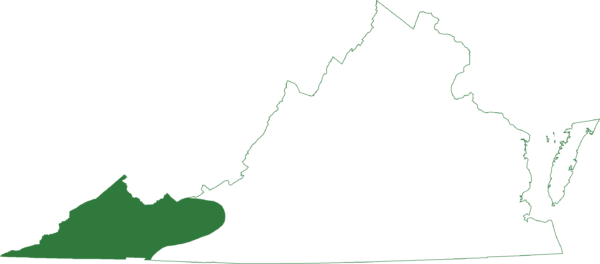 山合唱蛙生活在弗吉尼亚州最西部的山区