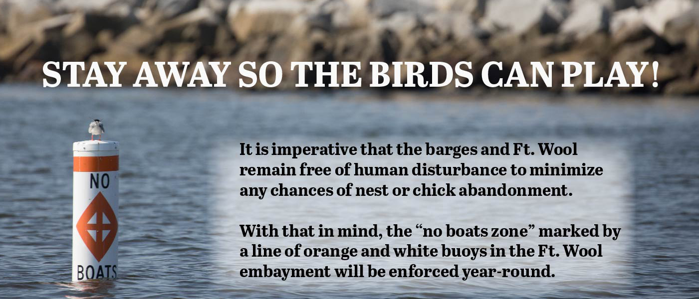 一张照片表明伍尔堡和驳船将不受人类干扰，以鼓励滨鸟筑巢