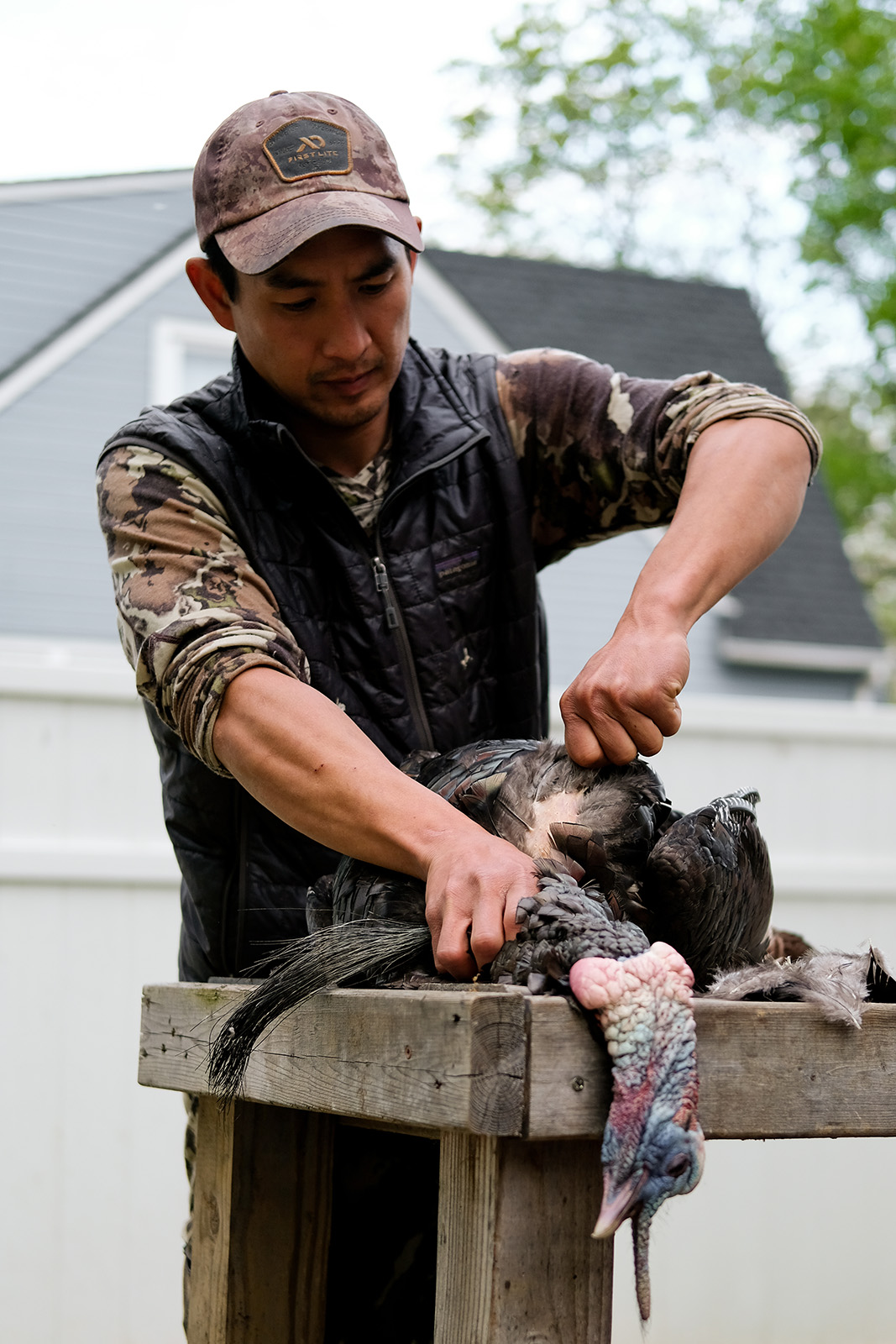 照片中,一只捕获的野生火鸡放在户外的桌子上,一名男子正在拔它的羽毛。