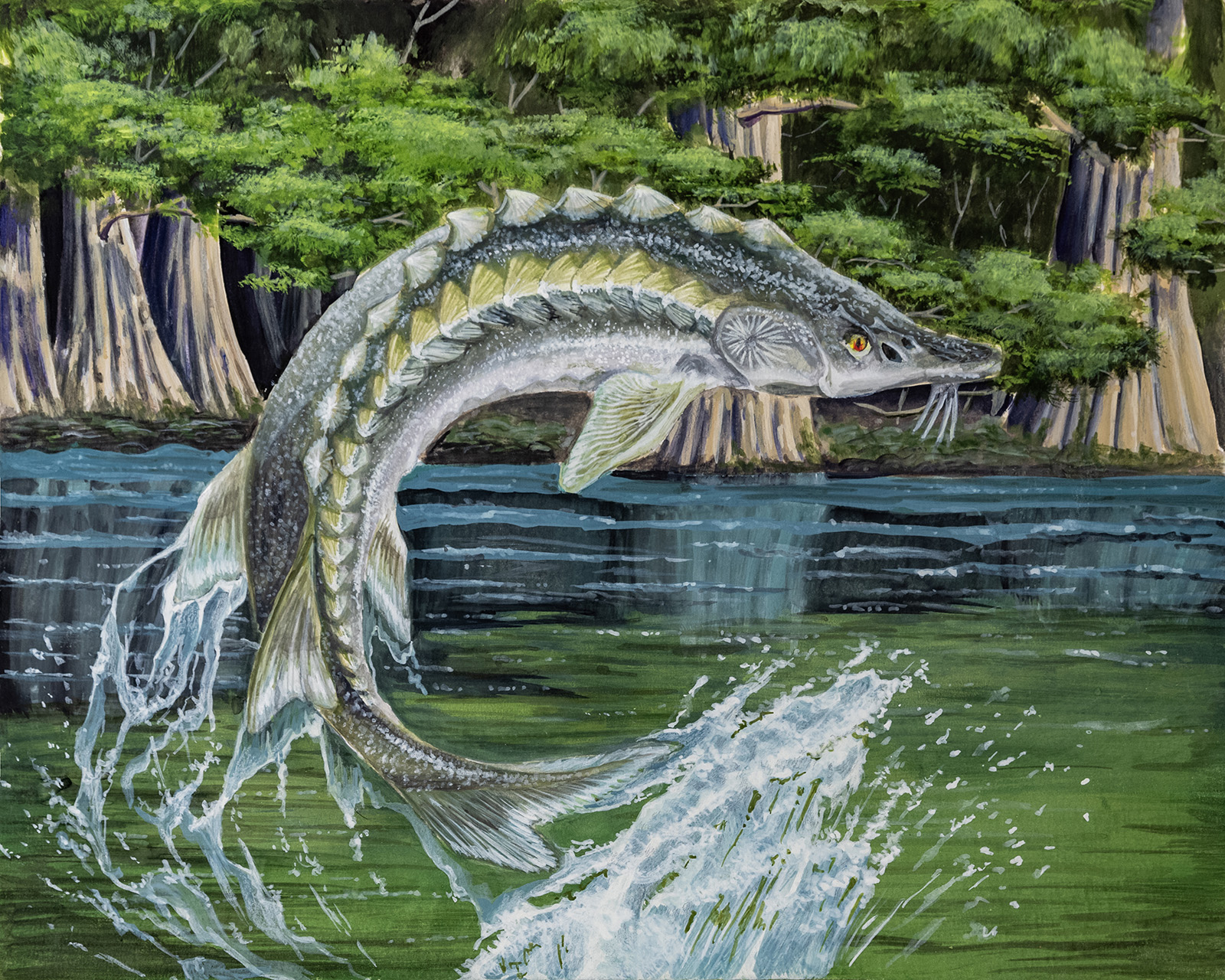 一幅描绘大西洋鲟鱼跃出水面的画作。