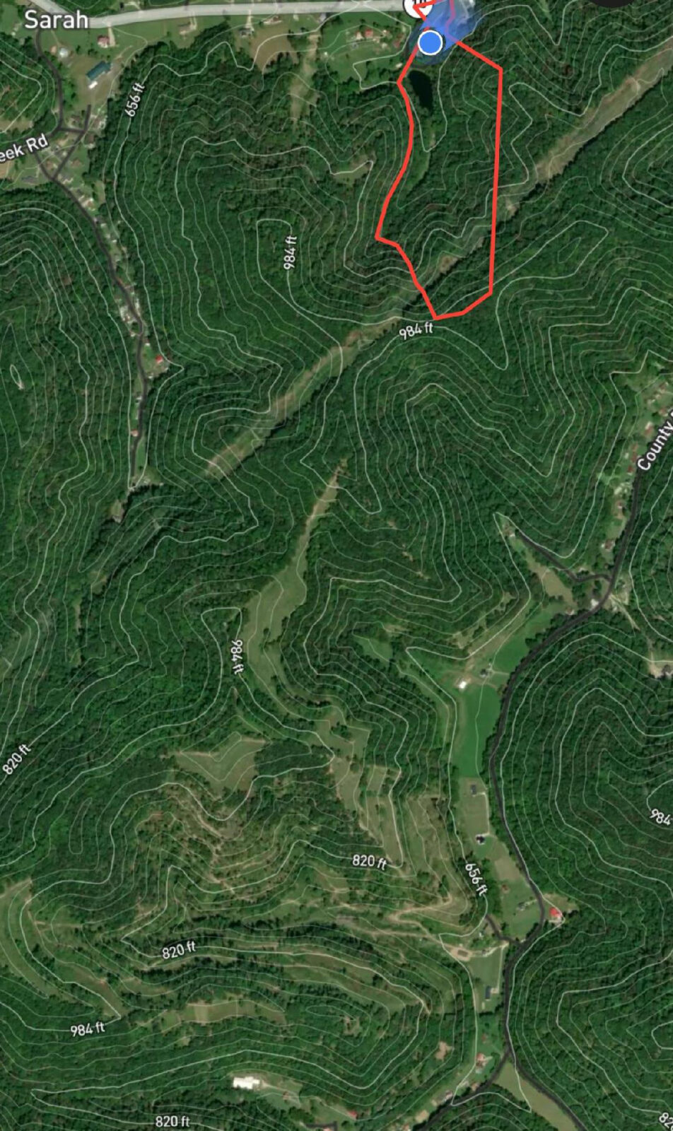 树林和开阔地区域的航拍地图图像。