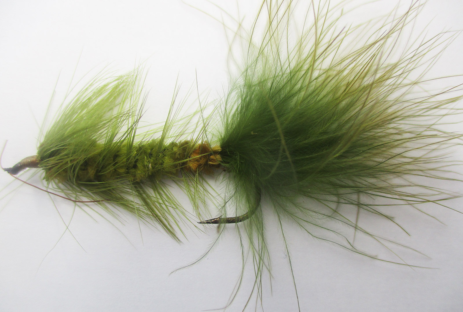这是一张绿色蓬松钓鱼蝇的特写照片。