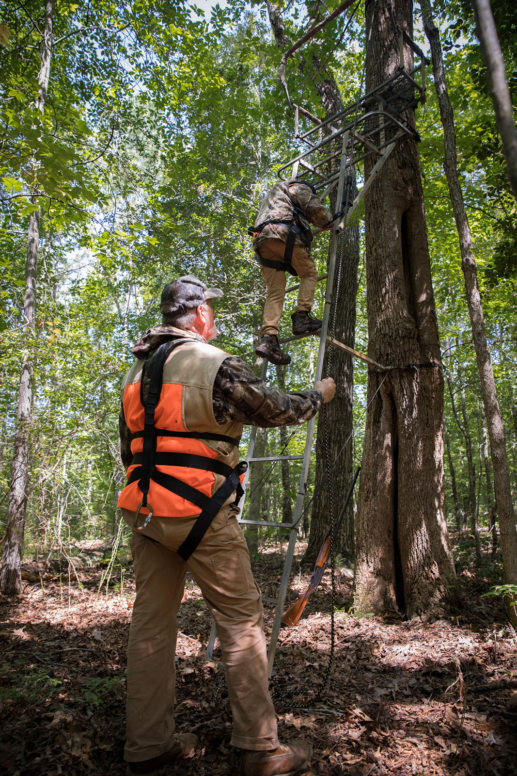 照片中，一位身穿橙色制服、系着安全带的老人看着一位年轻人戴着安全带爬上梯子，来到树架上。