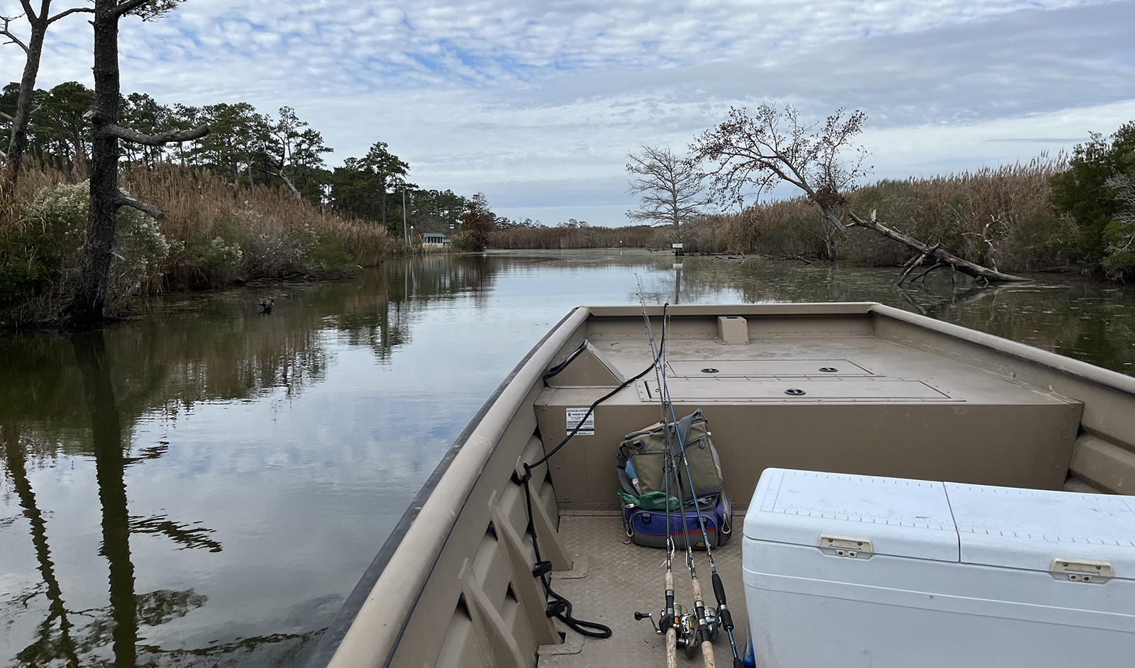 照片中，一艘船的船头缓缓驶过一条狭窄的水道，两边都有行军。