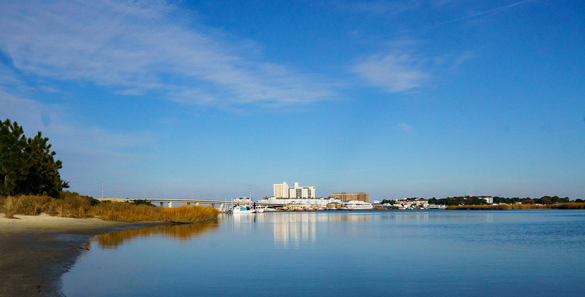 从 Pleasure House Point 自然保护区看到的景色