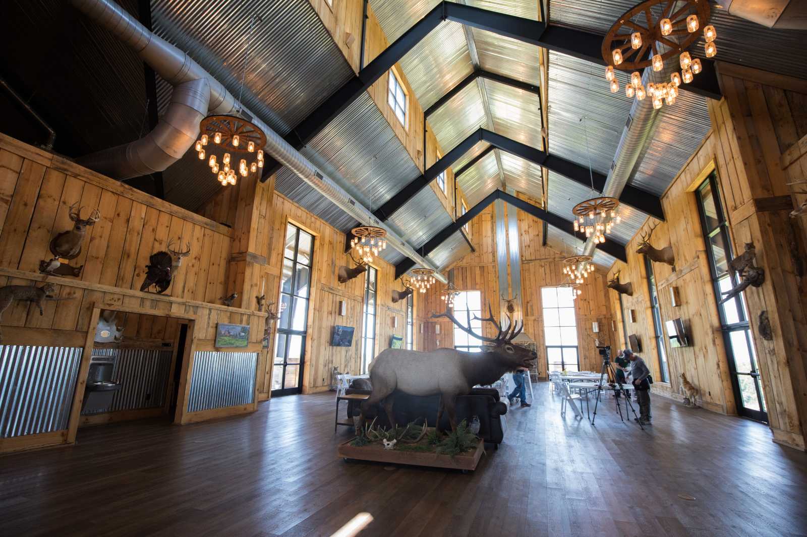 这是一张大型开放式建筑内部的照片,里面有野生动物标本和大窗户。