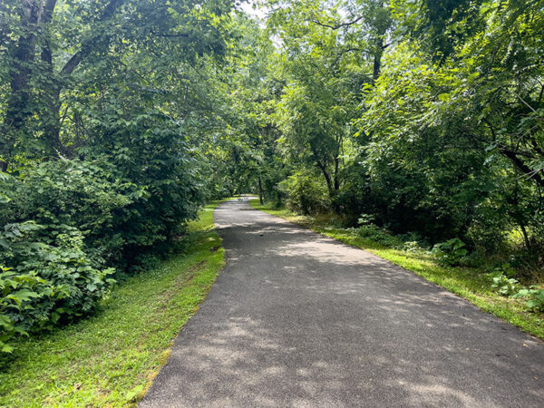 铺好的小路从码头延伸到一片树林，灰猫鸟在灌木丛中“喵喵叫”。照片来源：Lisa Mease