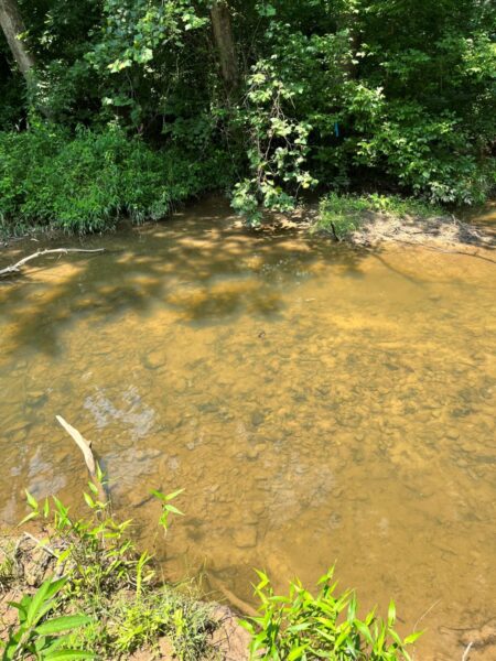 典型的栖息地，可能遇到詹姆斯棘贻贝。