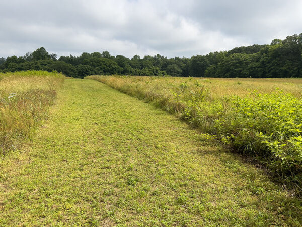 5 K 越野赛道的一部分。