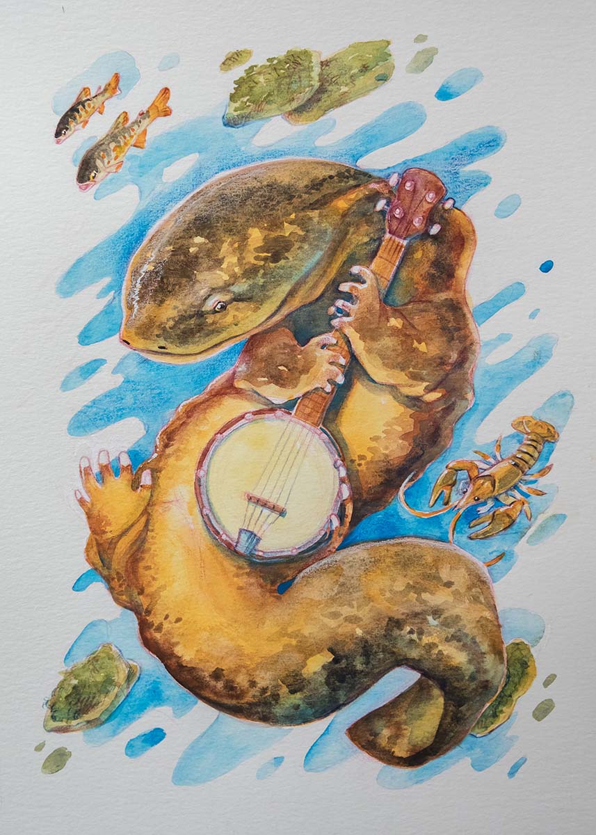 描绘东部隐鳃鲵弹奏班卓琴的插图