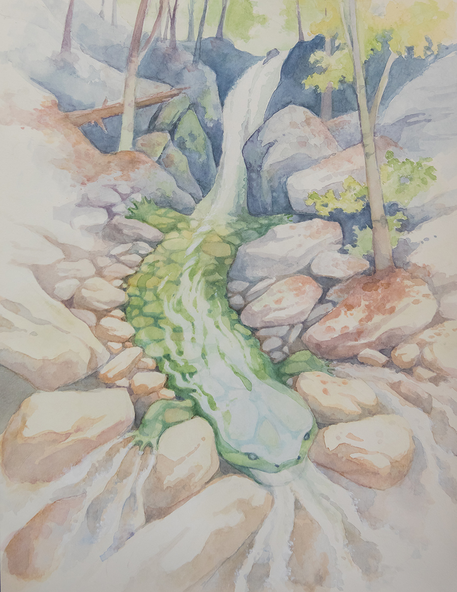 荣获艺术表现类奖项的一幅大鲵水彩画