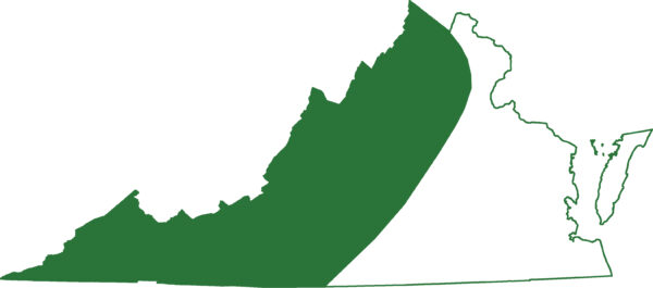 海豹蝾螈生活在弗吉尼亚州的山区