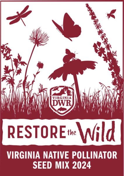 一包棕色纸质种子，上面贴有“恢复野生：弗吉尼亚本地传粉昆虫种子混合物”的标签