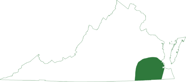 南方合唱蛙生活在弗吉尼亚州南部沿海平原的一小片区域