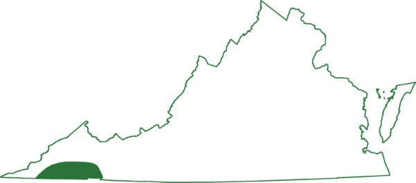南部锯齿蝾螈分布图；它们仅在弗吉尼亚州的几个县发现。