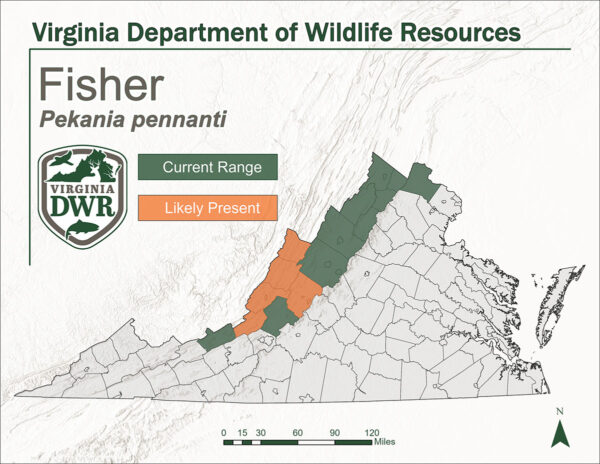 一张显示 Virginia 渔民分布情况的地图