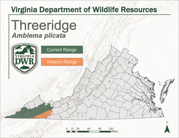 弗吉尼亚州的地图显示了三岭山脉的当前和历史范围。它显示了弗吉尼亚州最西端的两个地区。