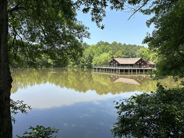环绕湖泊的树木和灌木丛是寻找黄喉地莺的地方。