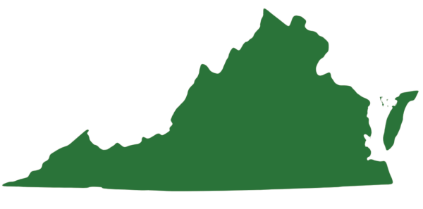 东部箱龟的分布图；它们遍布弗吉尼亚州