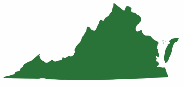 东部鳄龟遍布弗吉尼亚州