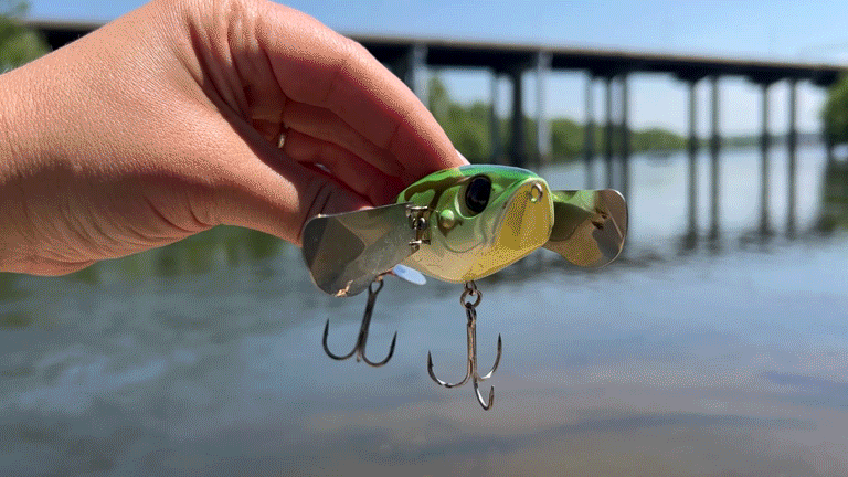 某人手持有效水面爬行器的短视频