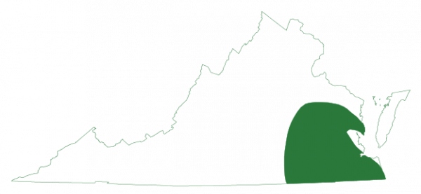 松林树蛙分布于弗吉尼亚州东南部沿海平原地区