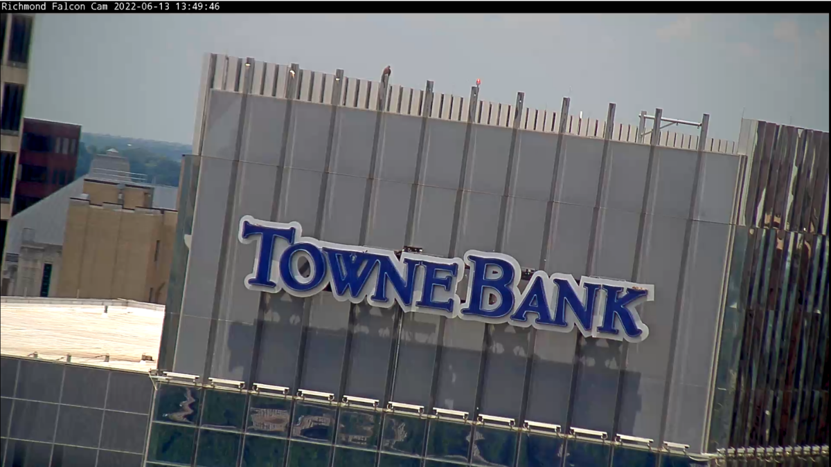 从摄像机直播中可以看到,Red 位于 Towne Bank 顶楼的同一位置。