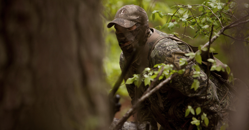 点击打开有关火鸡狩猎法规的链接